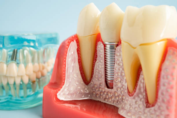 Best Dental Exams and Cleanings  in Thorsby, AL